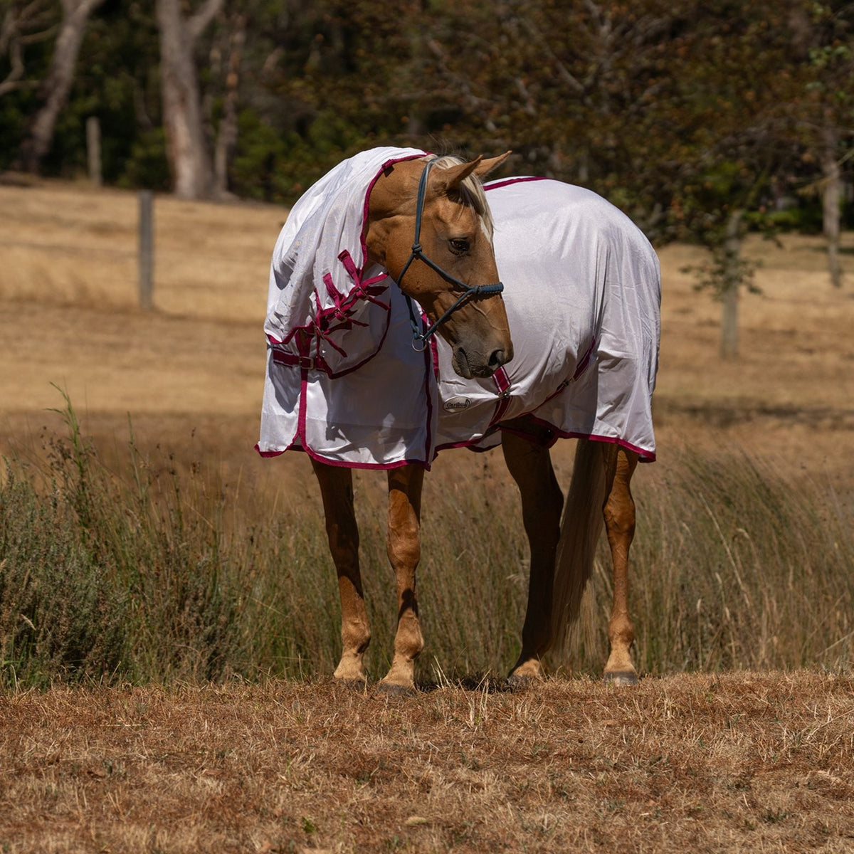 Caribu EuroLite Mesh Combo Horse Rug Berry Blush