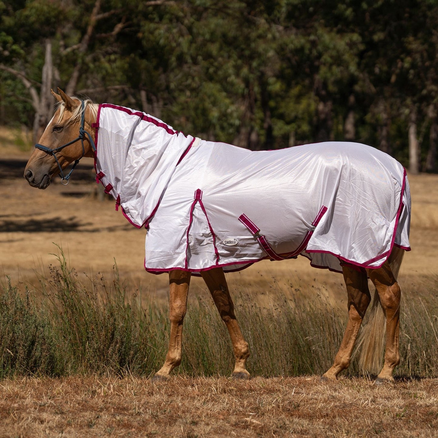 Caribu EuroLite Mesh Combo Horse Rug Berry Blush