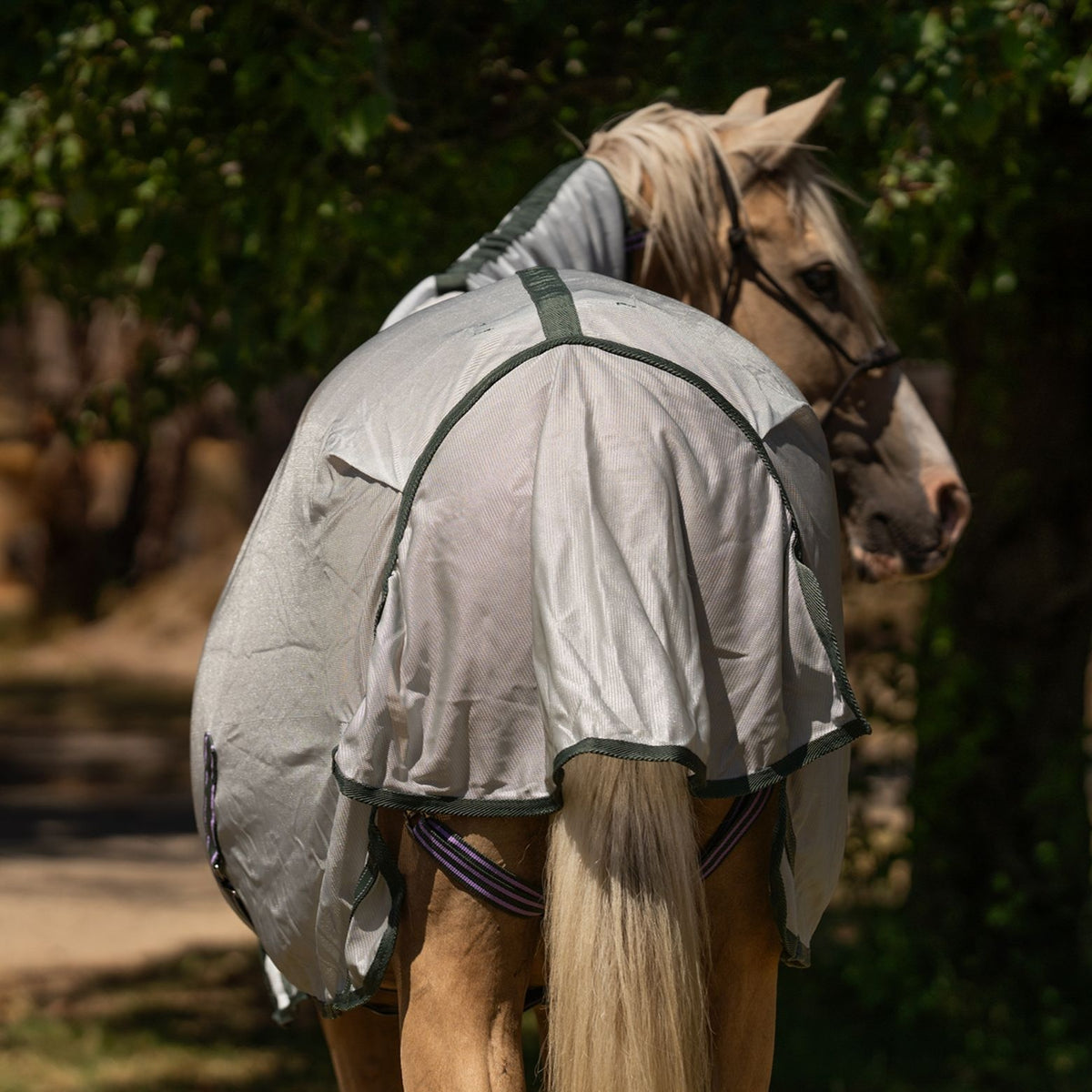 Caribu Euro Mesh Combo Horse Rug Sage Mist