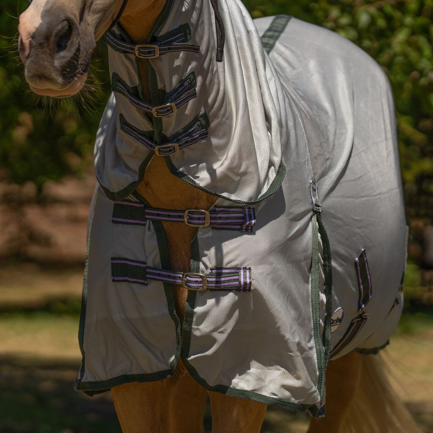 Caribu Euro Mesh Combo Horse Rug Sage Mist