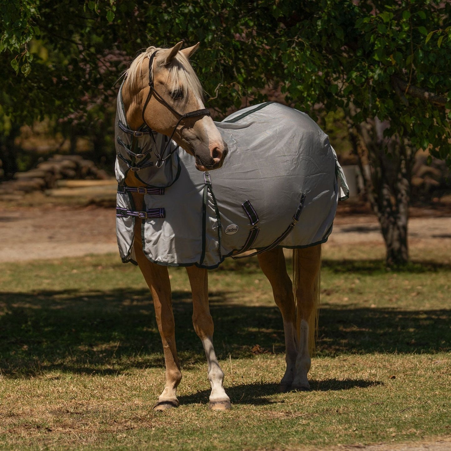 Caribu Euro Mesh Combo Horse Rug Sage Mist