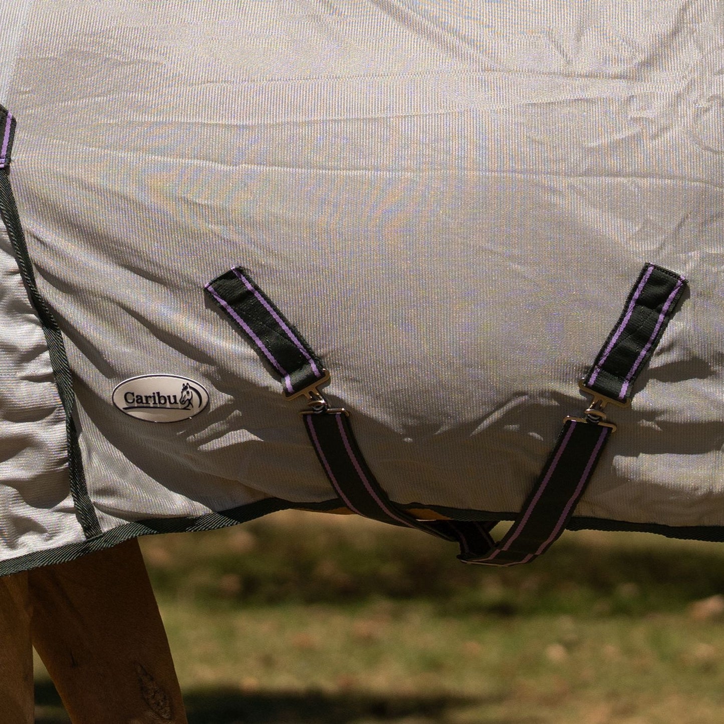 Caribu Euro Mesh Combo Horse Rug Sage Mist