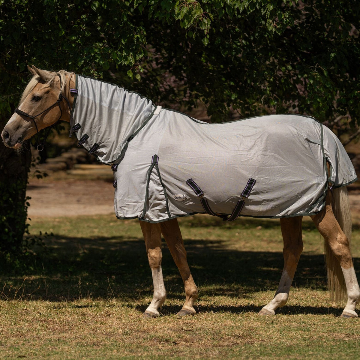 Caribu Euro Mesh Combo Horse Rug Sage Mist