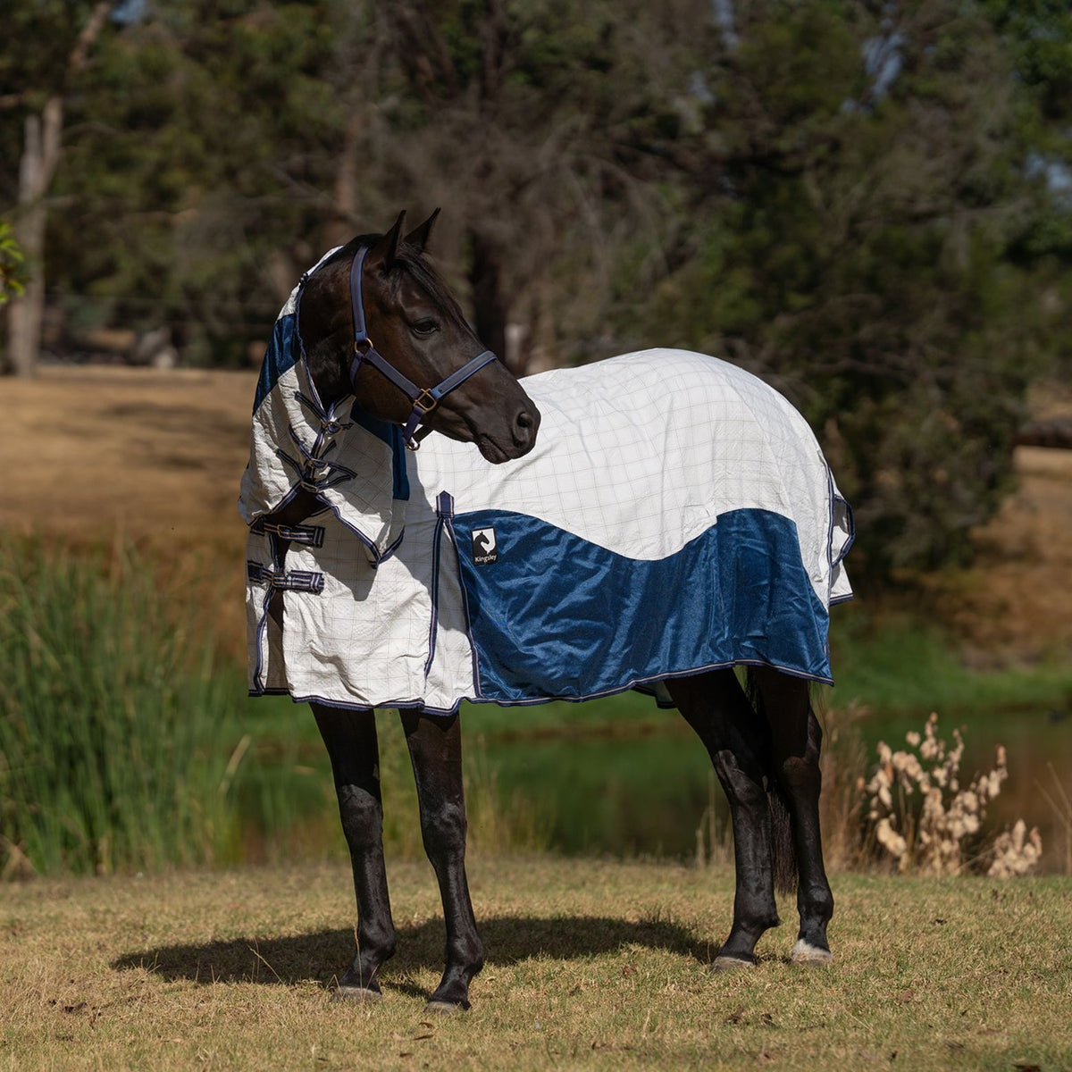 Kingsley Hybrid Combo Horse Rug Heritage Navy