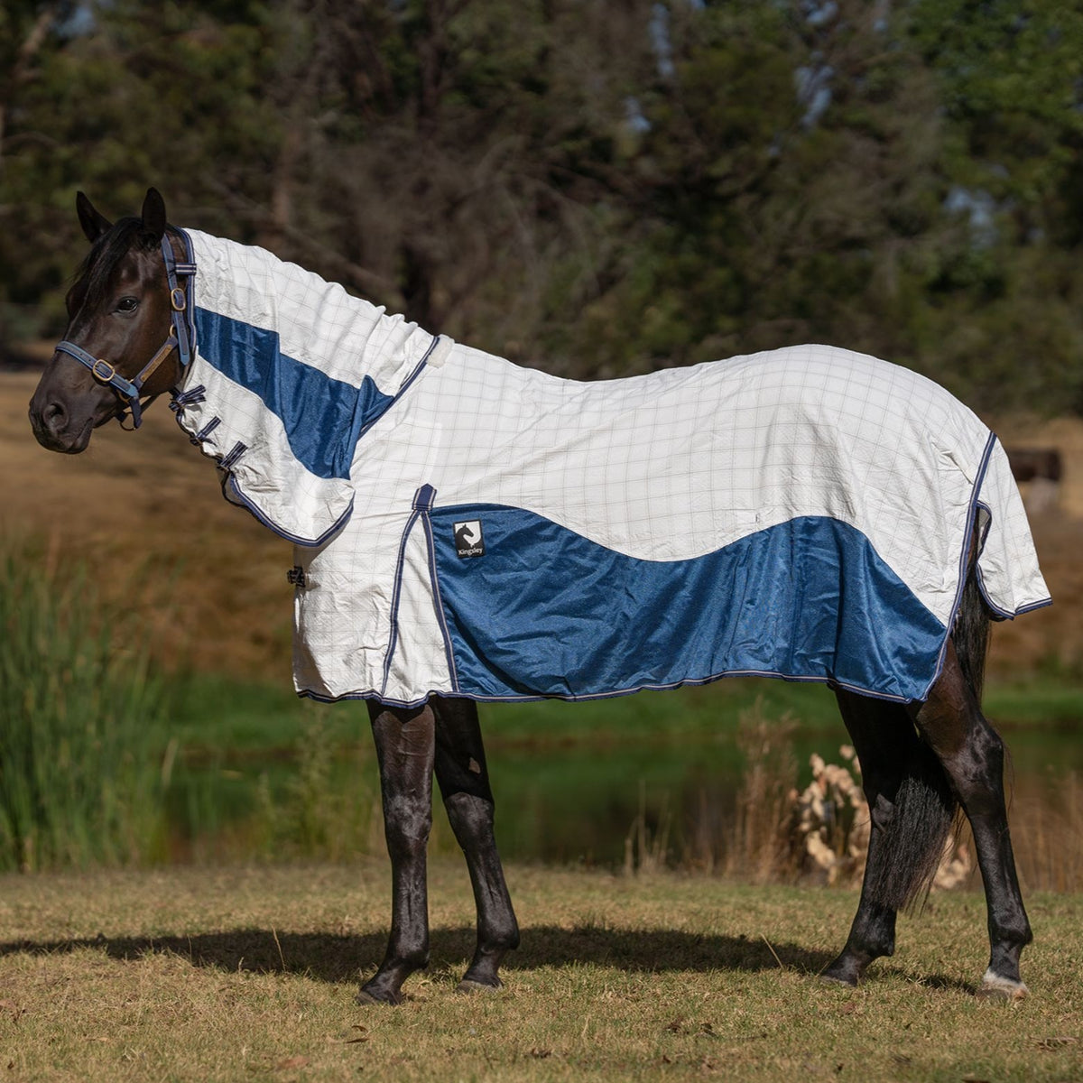 Kingsley Hybrid Combo Horse Rug Heritage Navy