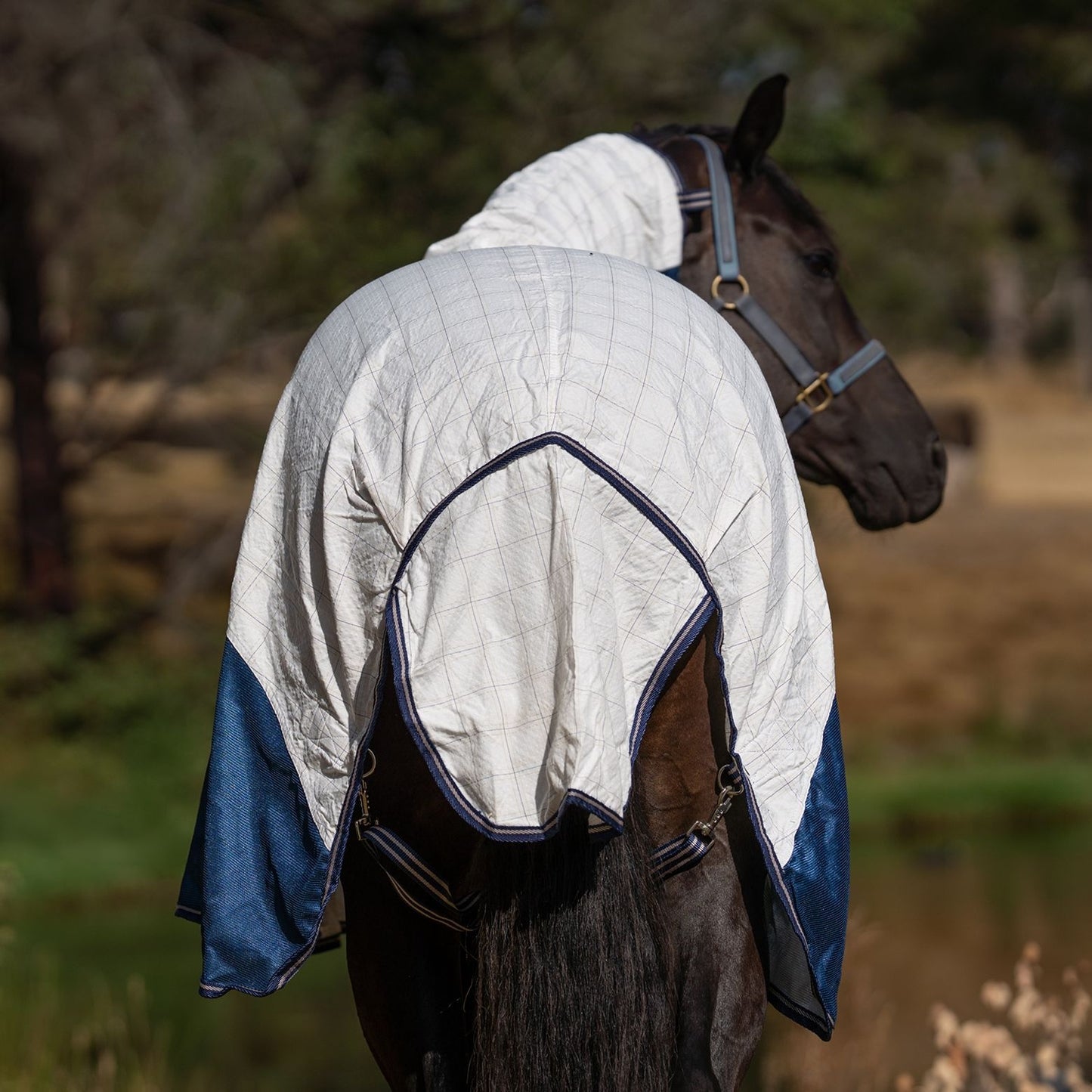 Kingsley Hybrid Combo Horse Rug Heritage Navy