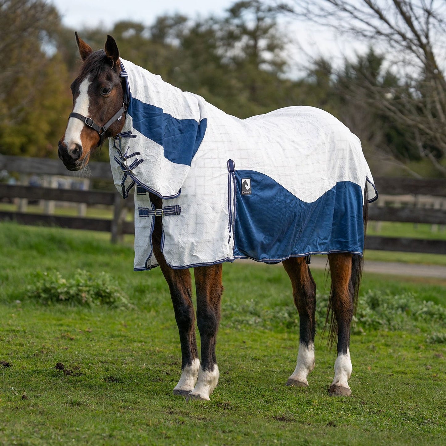 Kingsley Hybrid Combo Horse Rug Heritage Navy