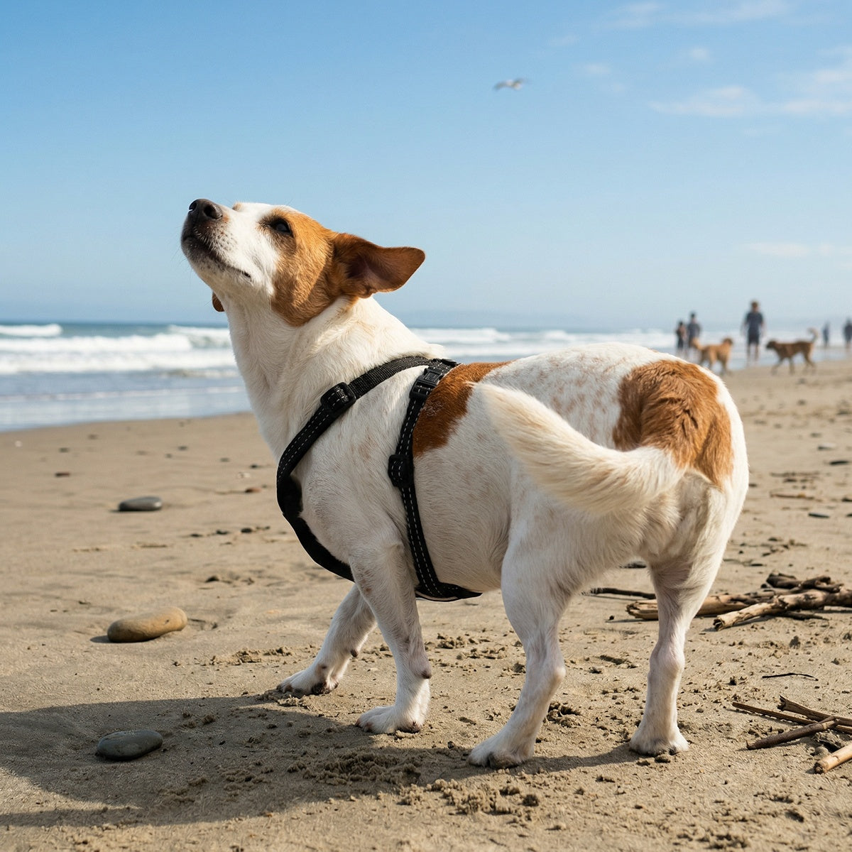 Rogz Utility Ergo Crossfit Dog Harness