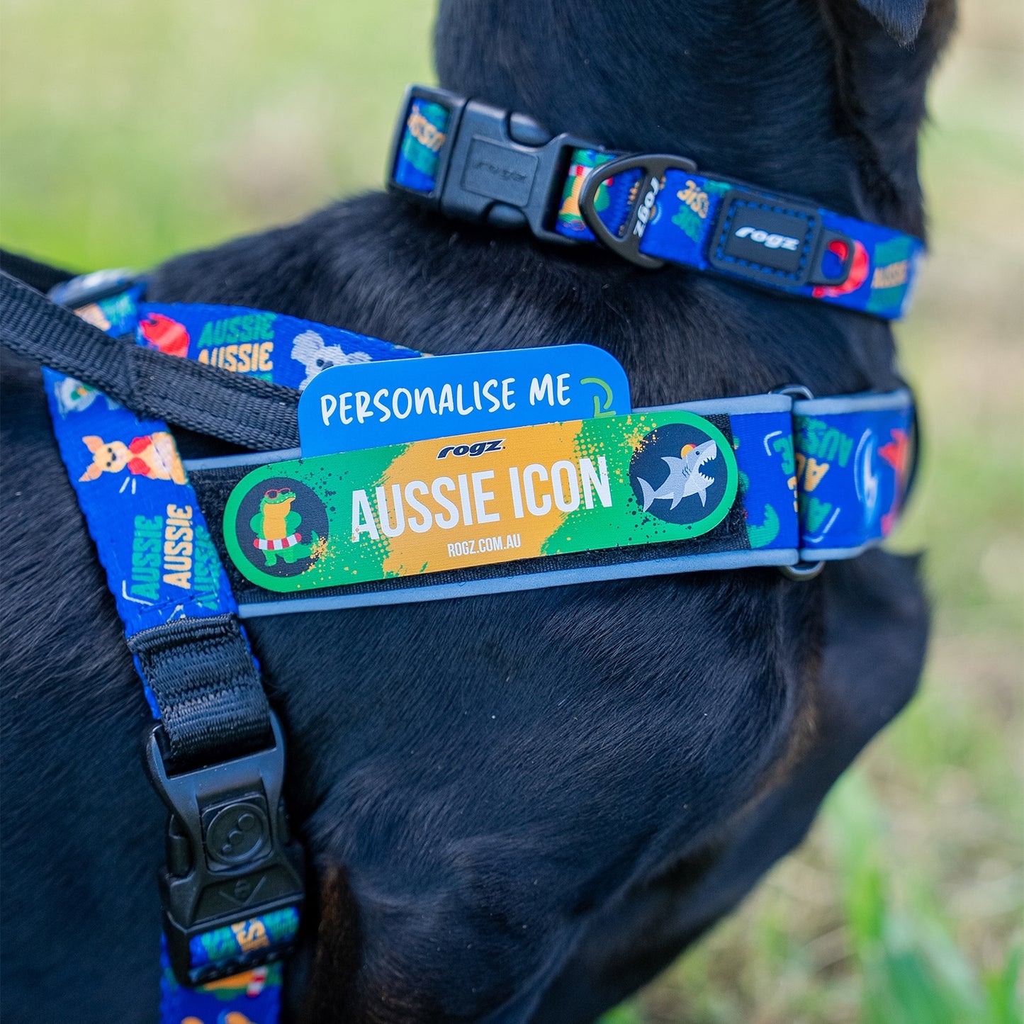 Rogz Fusion Classic Australiana Dog Collar