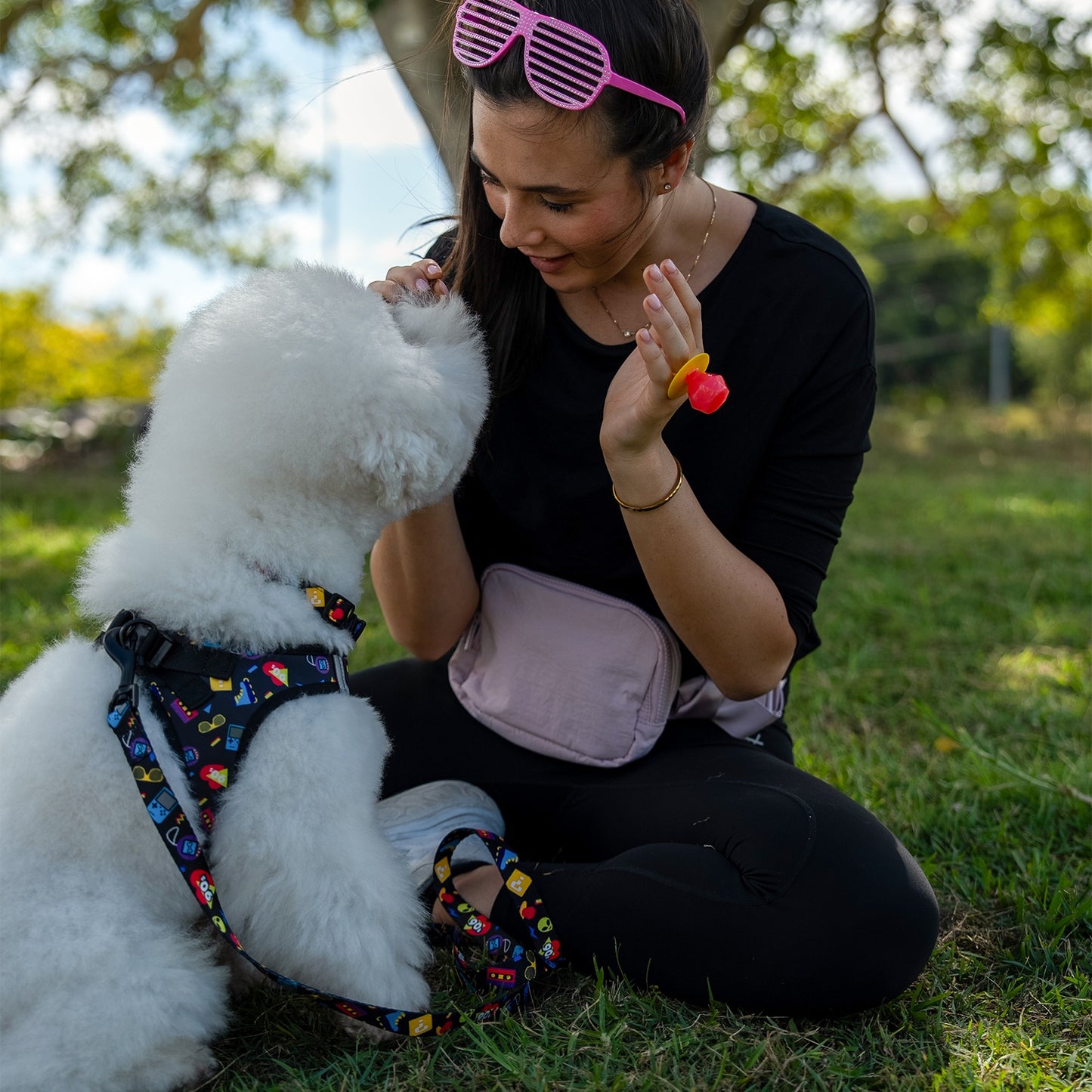Rogz Fusion Classic 90’S Nostalgia Dog Collar
