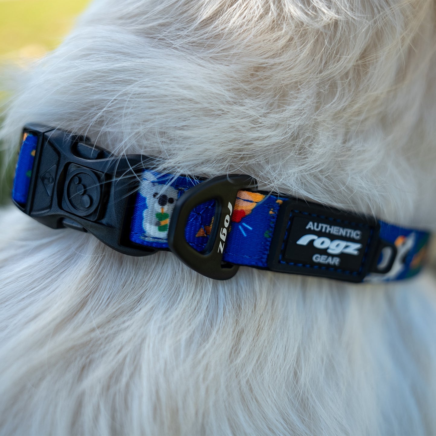 Rogz Fusion Classic Australiana Dog Collar