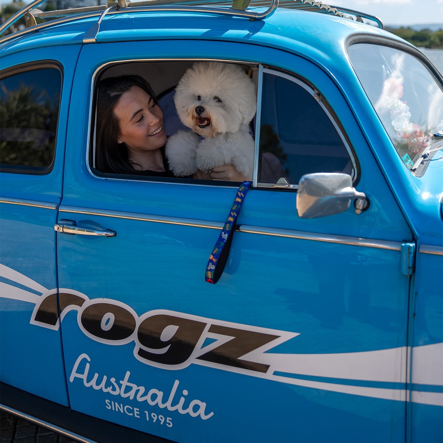 Rogz Fusion Classic Australiana Dog Lead