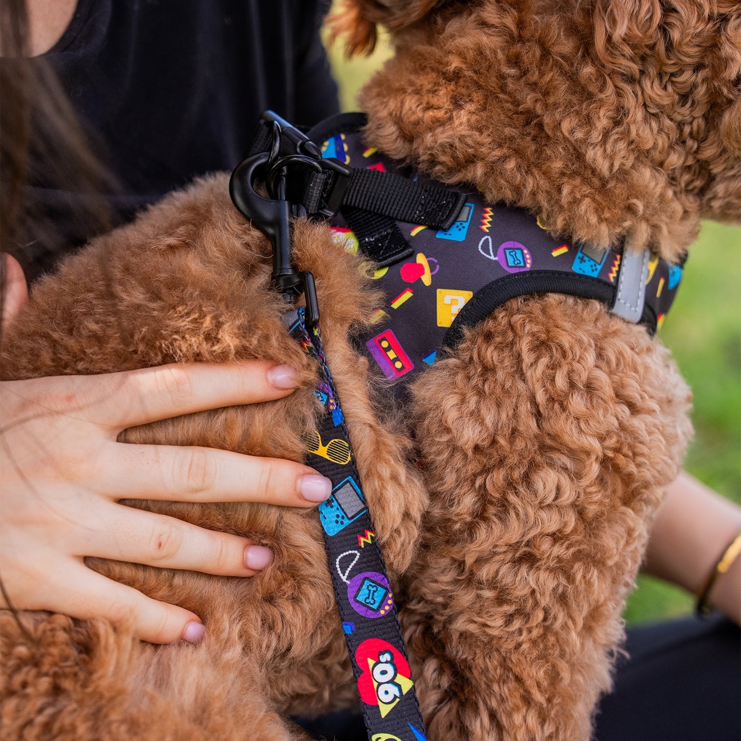 Rogz Fusion Classic 90’S Nostalgia Dog Lead