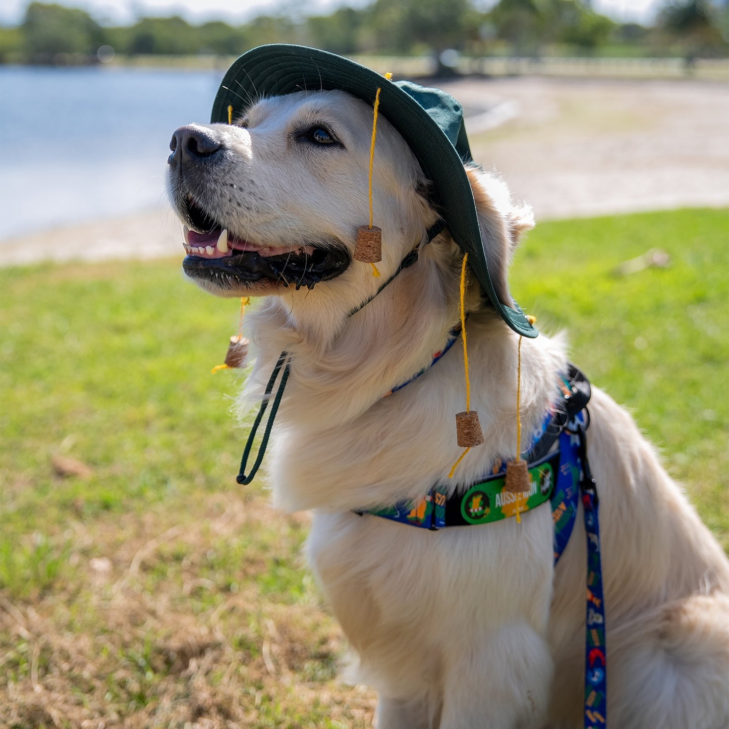 Rogz Fusion Letzgo Australiana Dog Harness