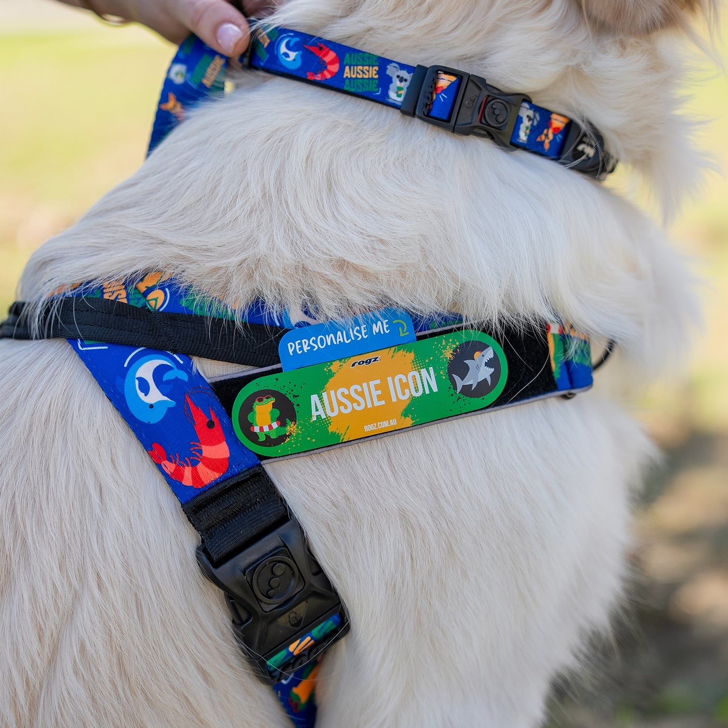 Rogz Fusion Letzgo Australiana Dog Harness