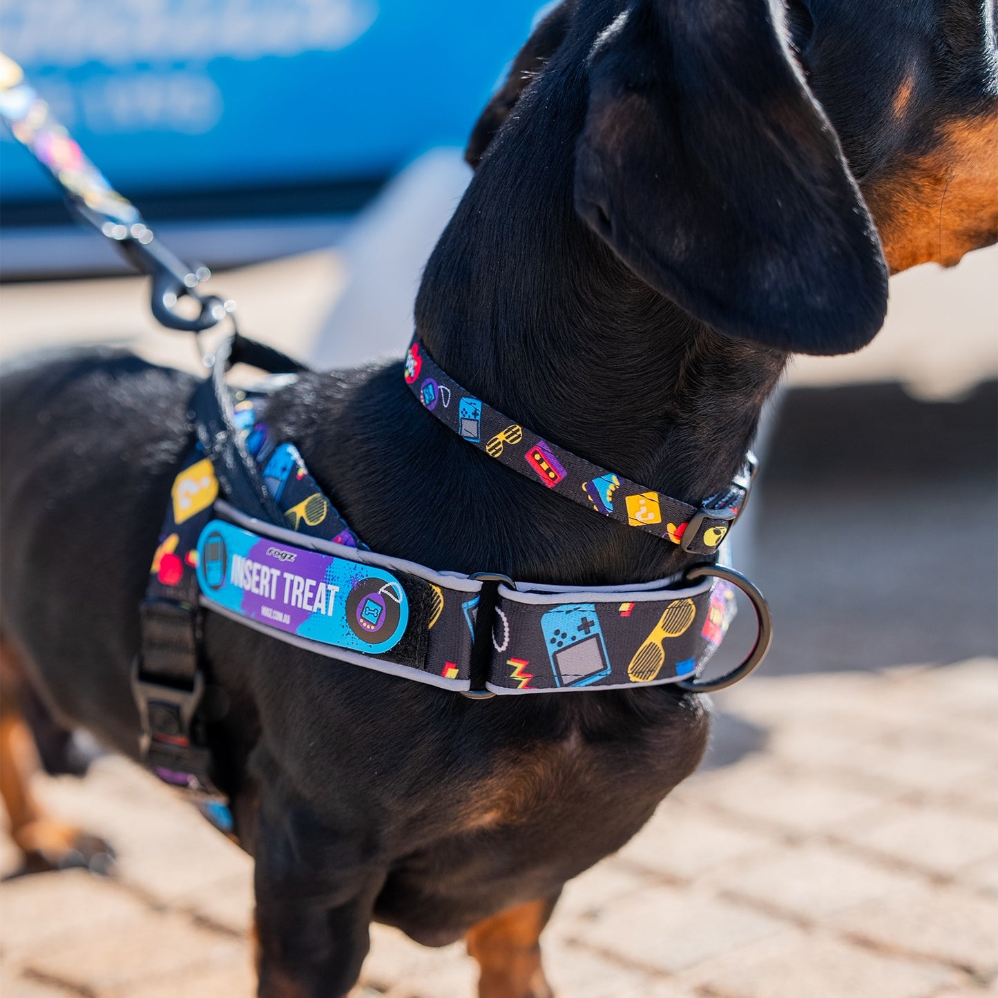 Rogz Fusion Classic 90’S Nostalgia Dog Collar