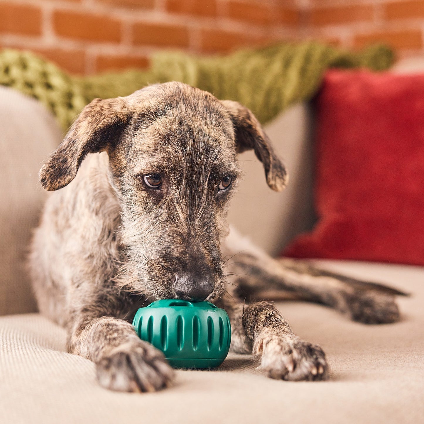 Woof Pupsicle Treat Dispensing Dog Toy