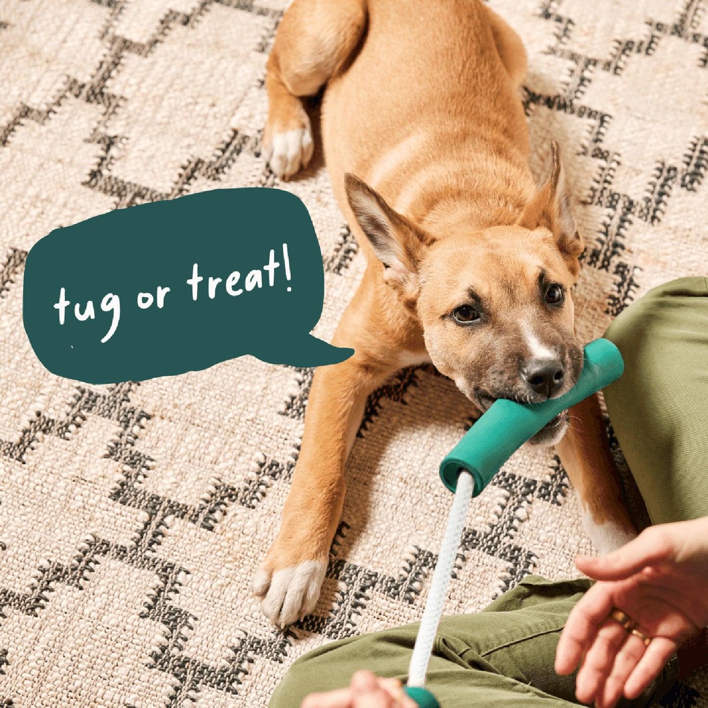 Woof Nomchucks Treat Dispensing Dog Toy