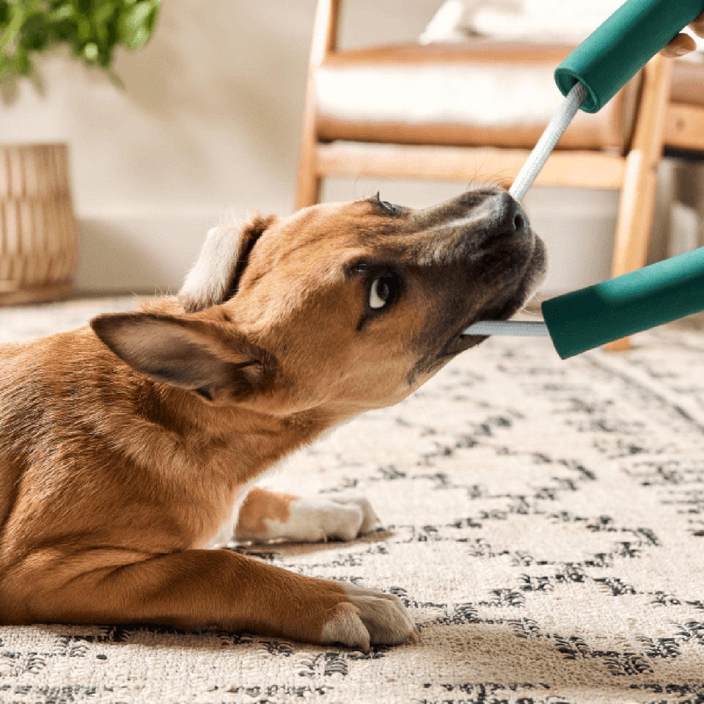 Woof Nomchucks Treat Dispensing Dog Toy