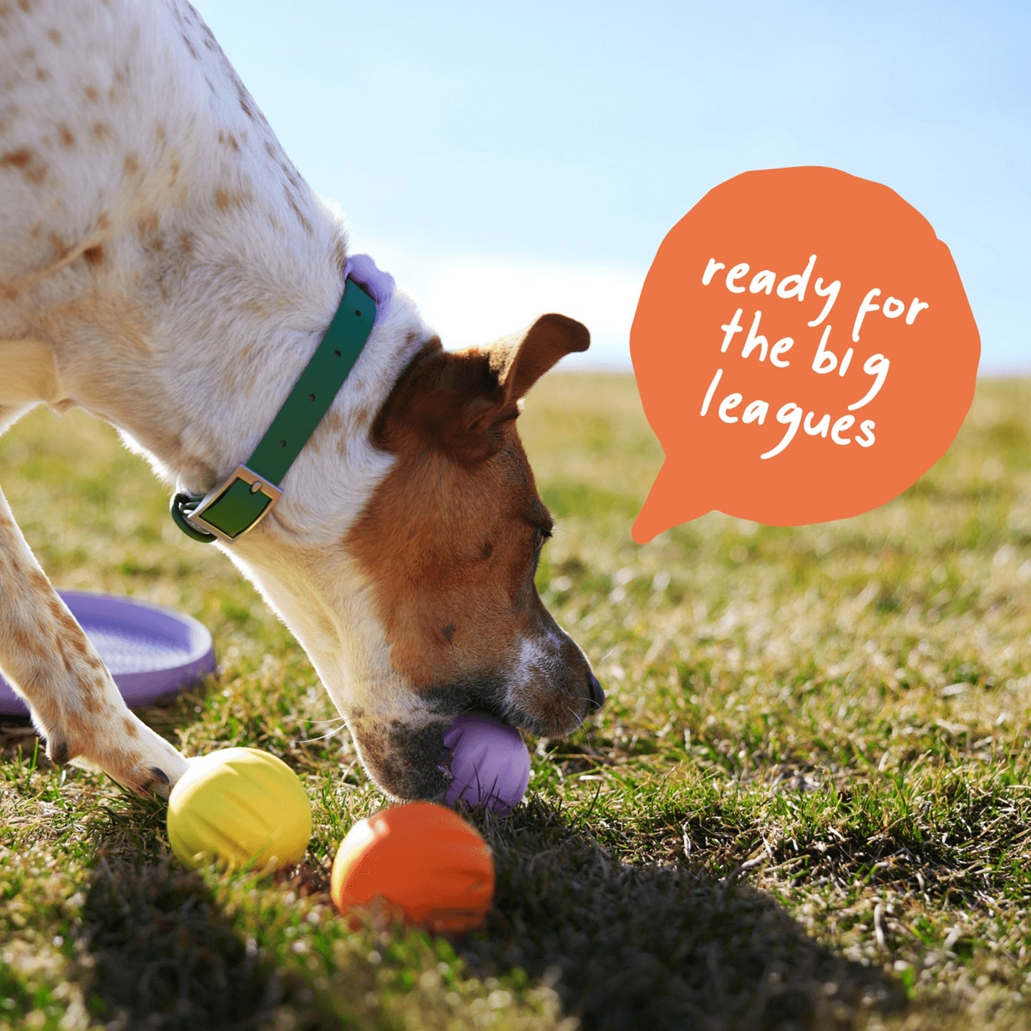 Woof FlyBall Treat Dispensing Dog Toy