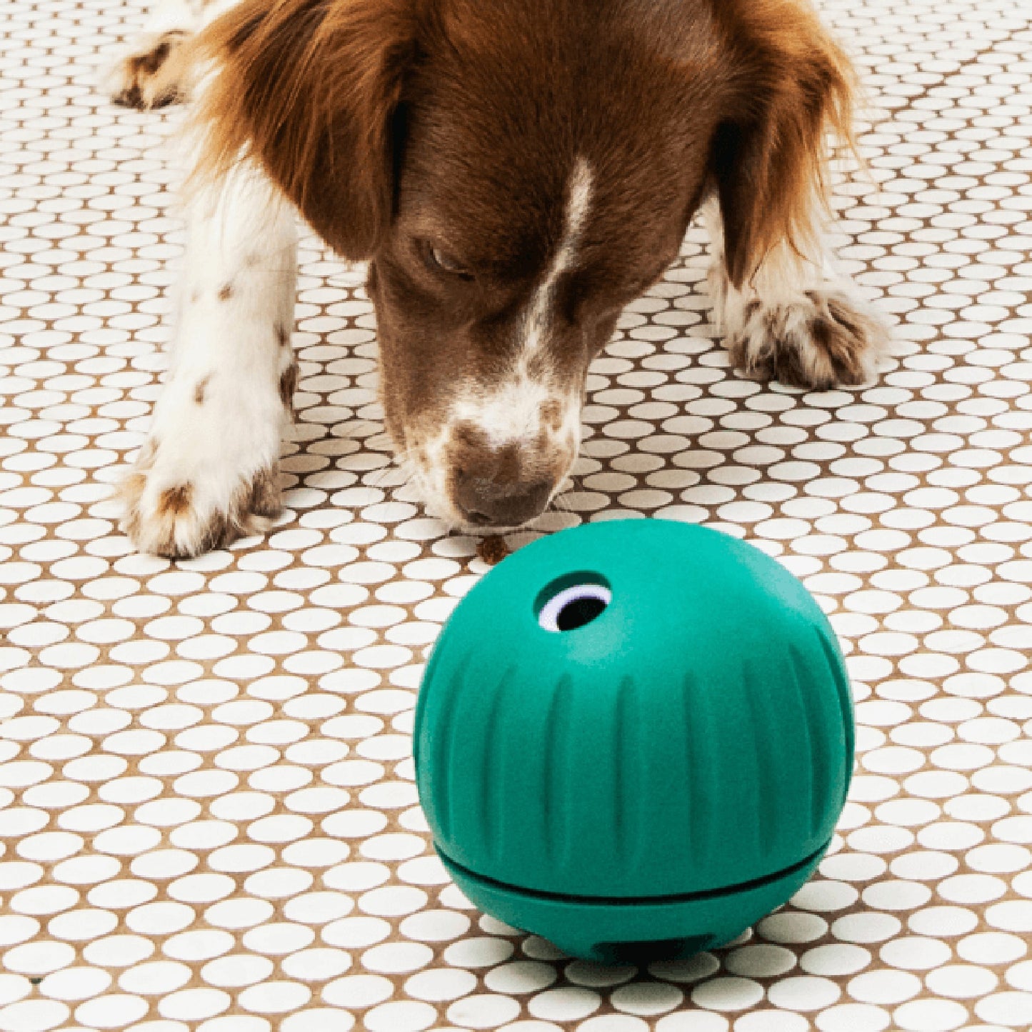 Woof Walkabout Treat Dispensing Dog Toy