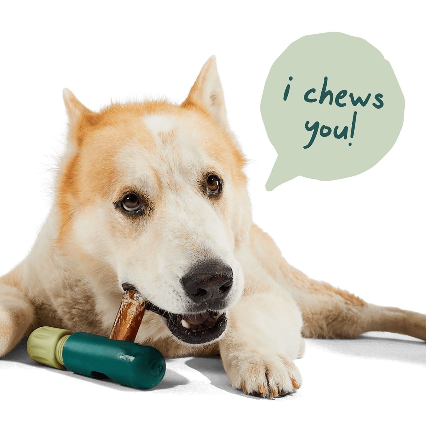 Woof BullySafe Dog Chew Treat Holder