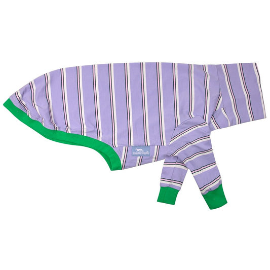Wriggley Diggley All Day Dog Jumper Long Stripe