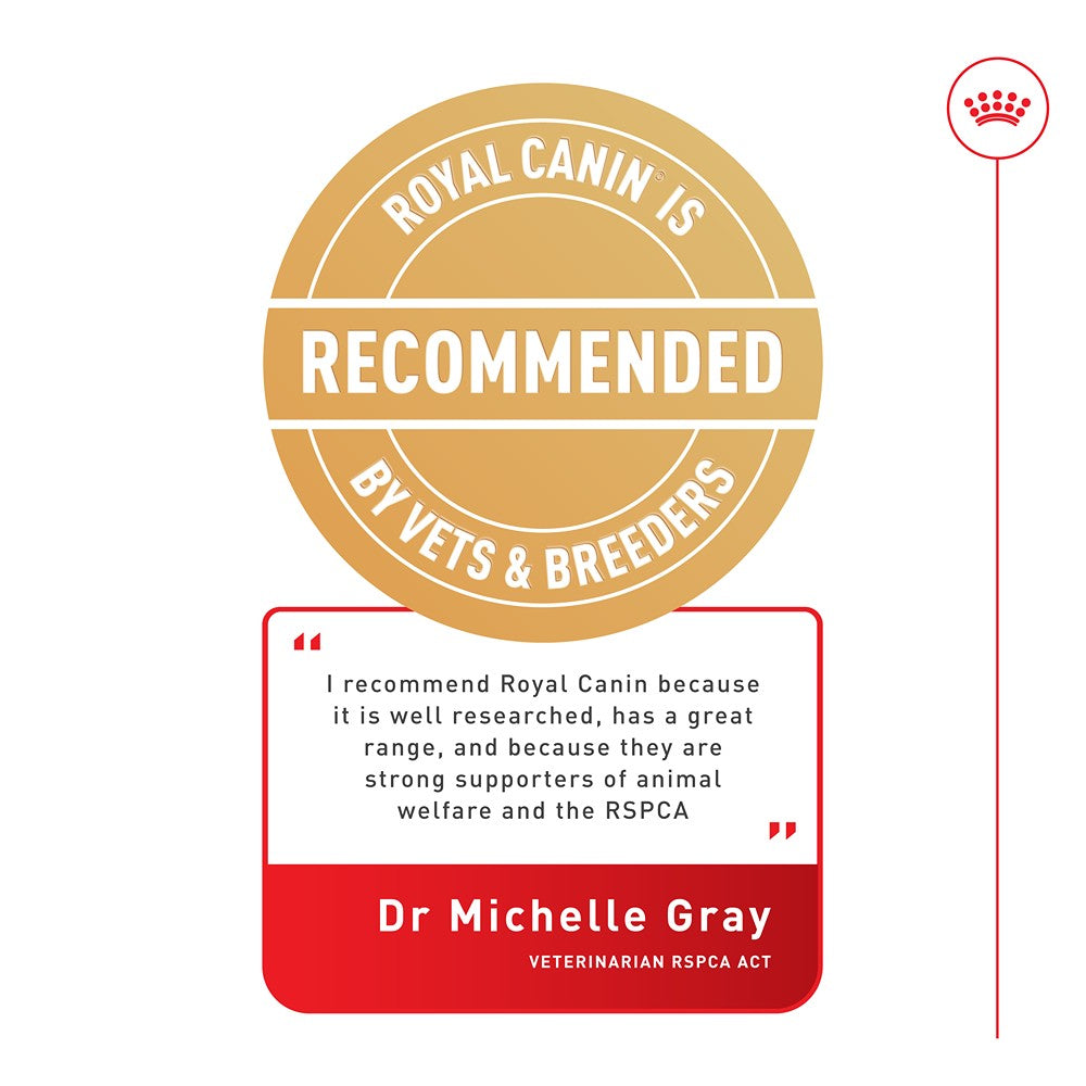 Royal Canin Mini Adult Loaf Wet Dog Food