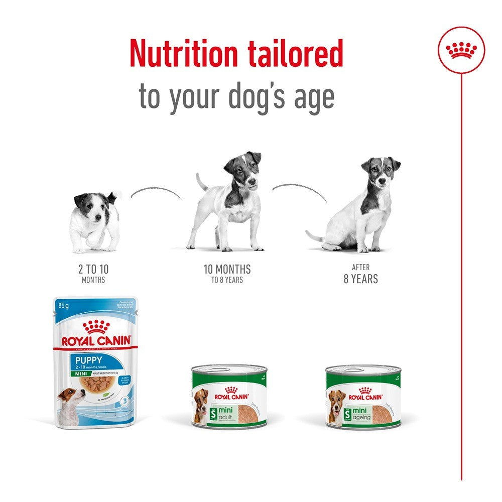 Royal Canin Mini Ageing Loaf Wet Dog Food