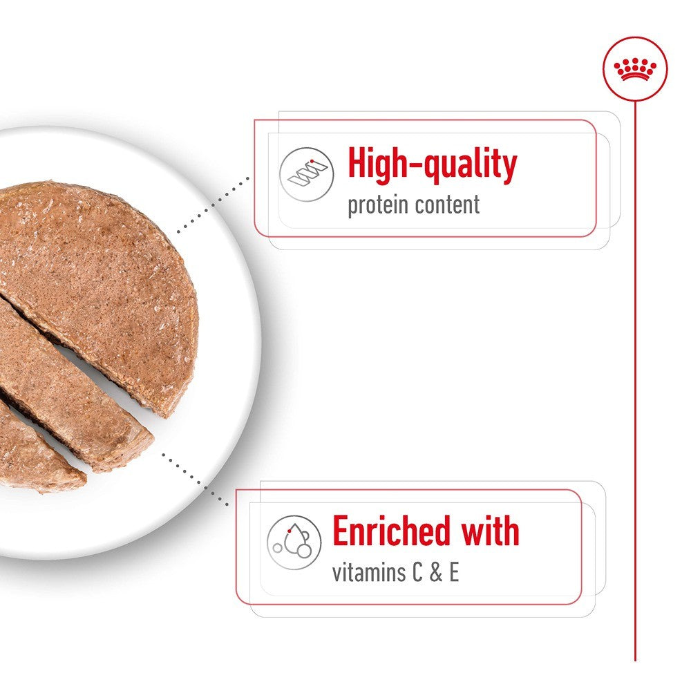 Royal Canin Adult Medium Loaf Wet Dog Food