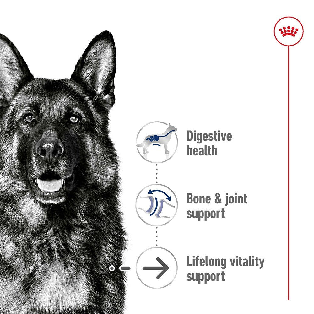 Royal Canin Ageing Maxi Loaf Wet Dog Food