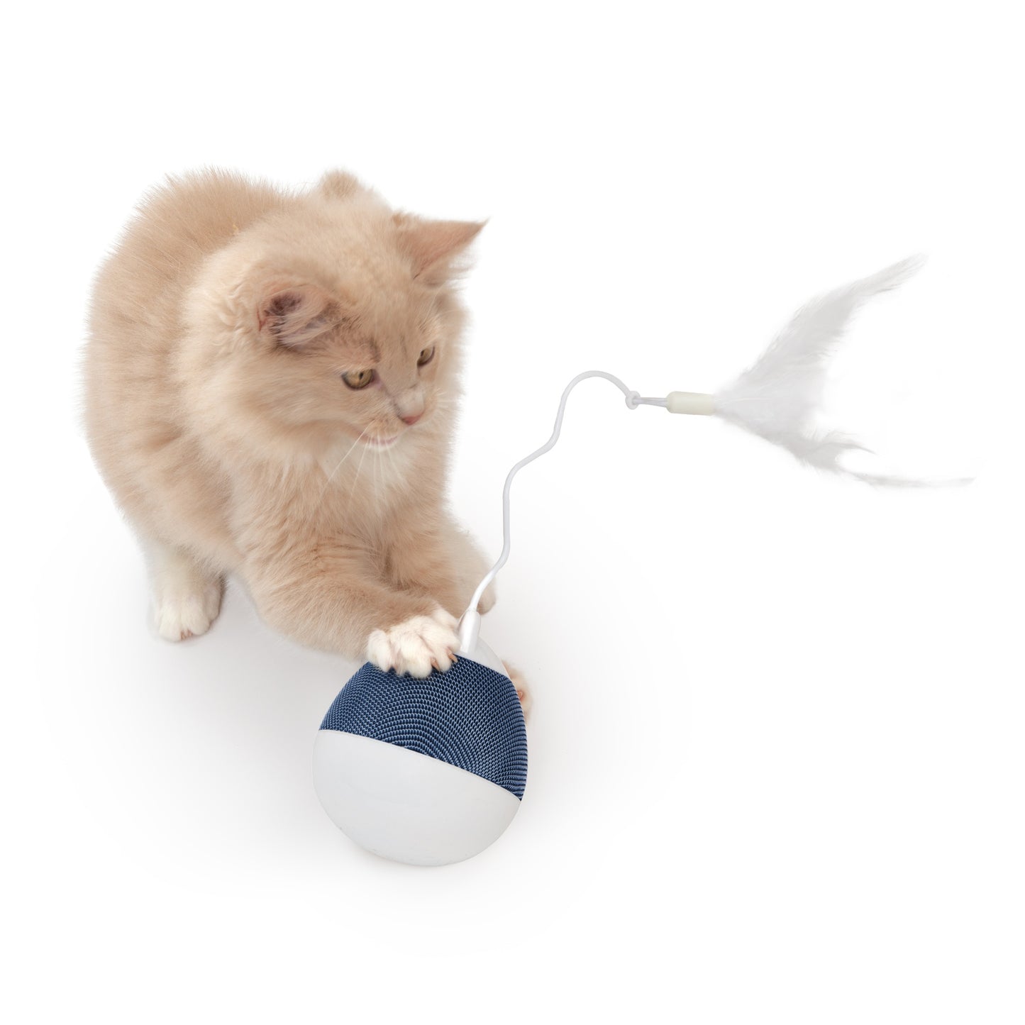 Catit Pixi Spinner Cat Toy