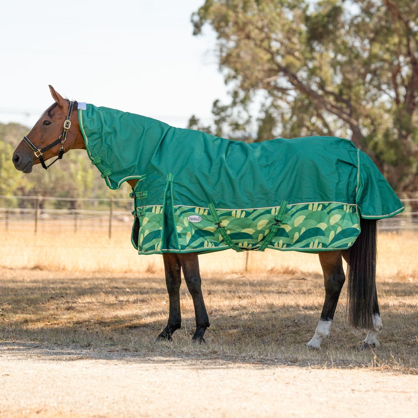 Caribu Eclipse Combo Horse Rainsheet Emerald Valley