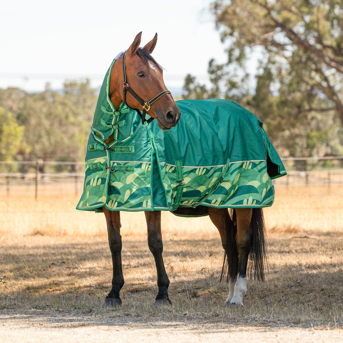 Caribu Eclipse Combo Horse Rainsheet Emerald Valley