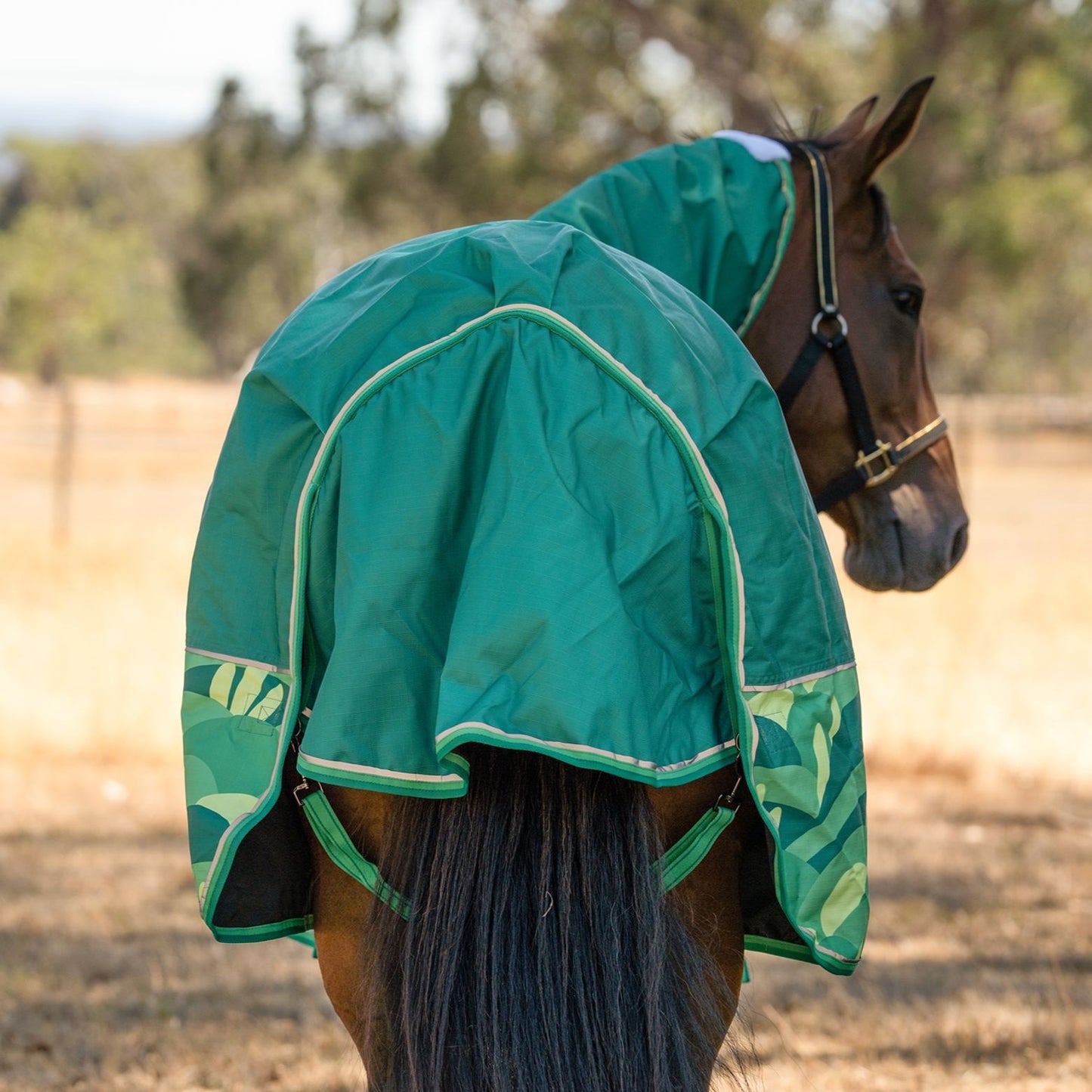 Caribu Eclipse Combo Horse Rainsheet Emerald Valley