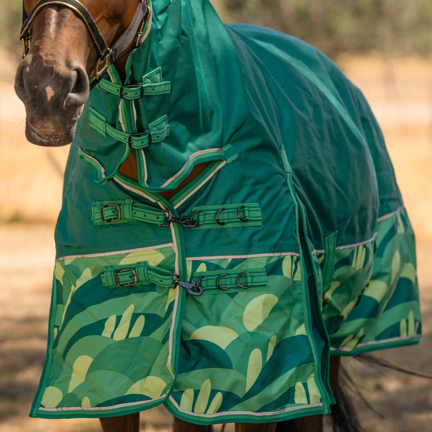 Caribu Eclipse Combo Horse Rainsheet Emerald Valley