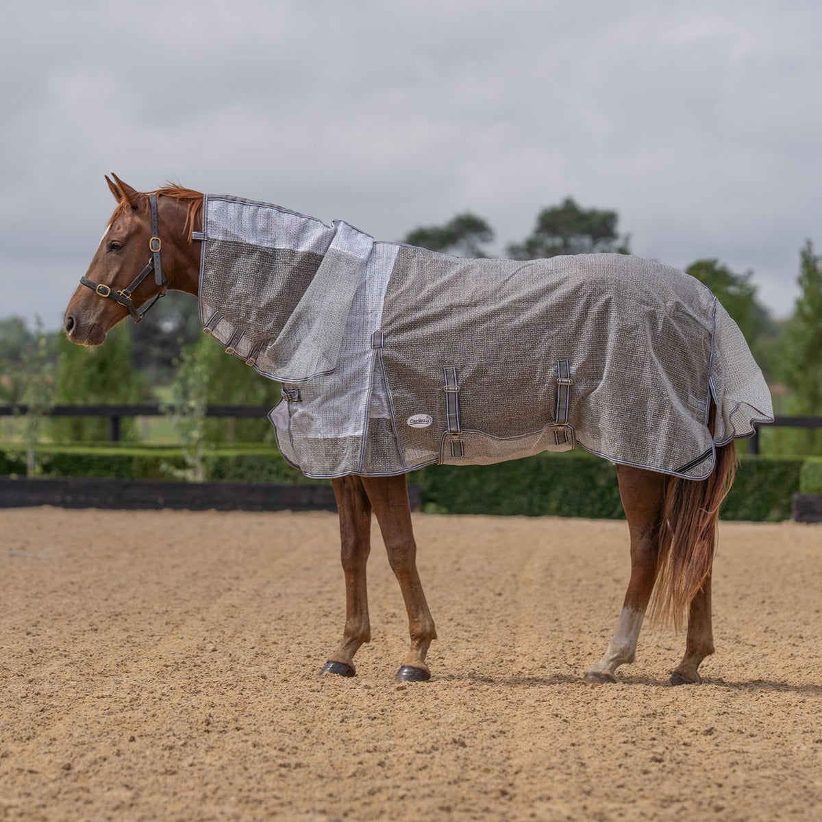 Caribu Armour Mesh Combo Horse Rug Shadow