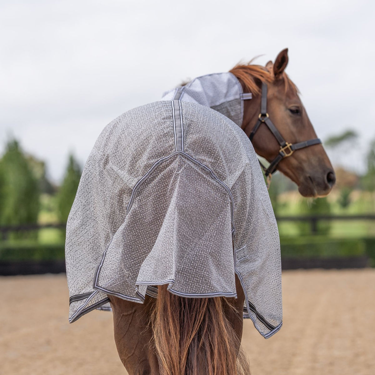 Caribu Armour Mesh Combo Horse Rug Shadow