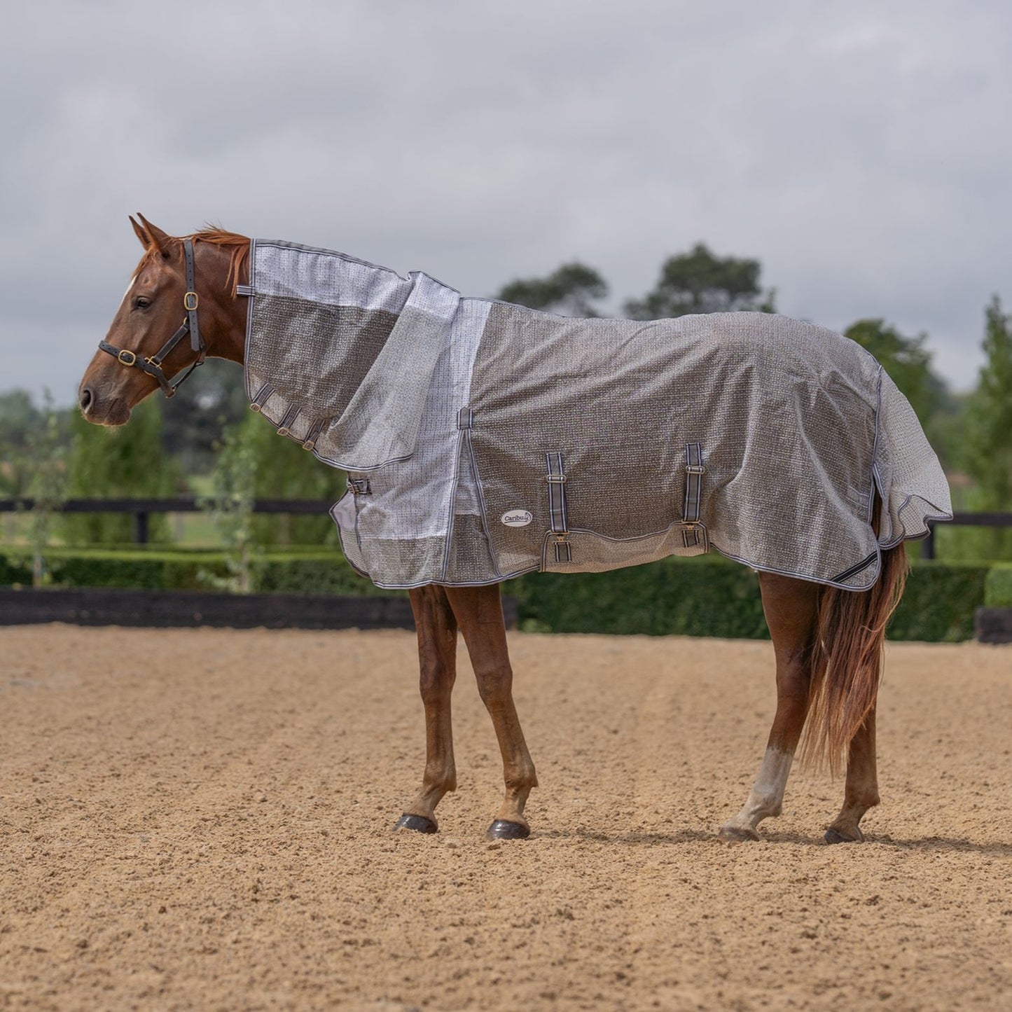 Caribu Armour Mesh Combo Horse Rug Shadow