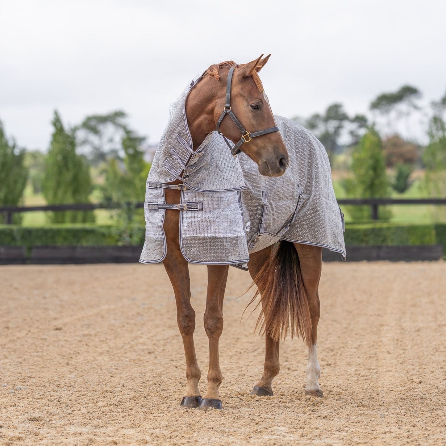Caribu Armour Mesh Combo Horse Rug Shadow