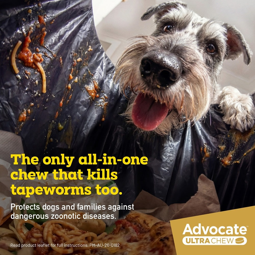 Advocate Ultra Chew Medium Breed 5.6 - 11kg Dog Flea, Tick & Worming