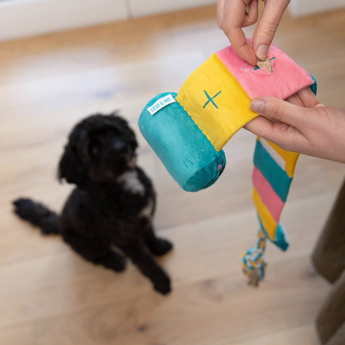 Lexi & Me Lolipop Snuffle Dog Toy