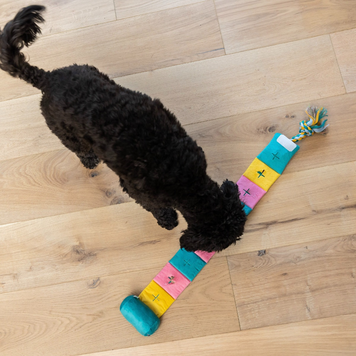 Lexi & Me Lolipop Snuffle Dog Toy