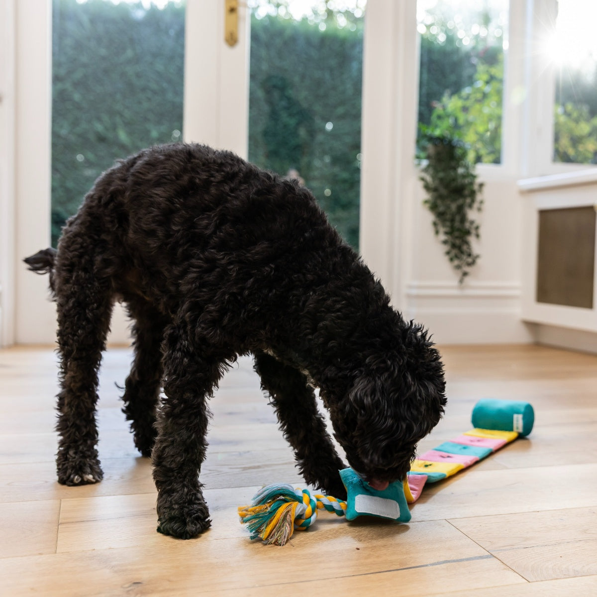 Lexi & Me Lolipop Snuffle Dog Toy