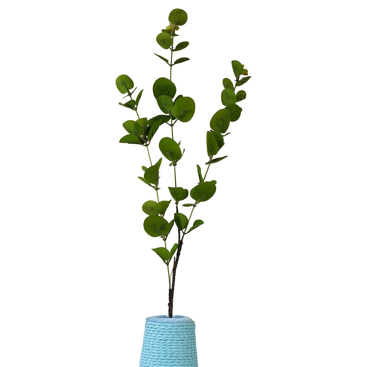 Pet Pals Flower Vase Cat Scratcher