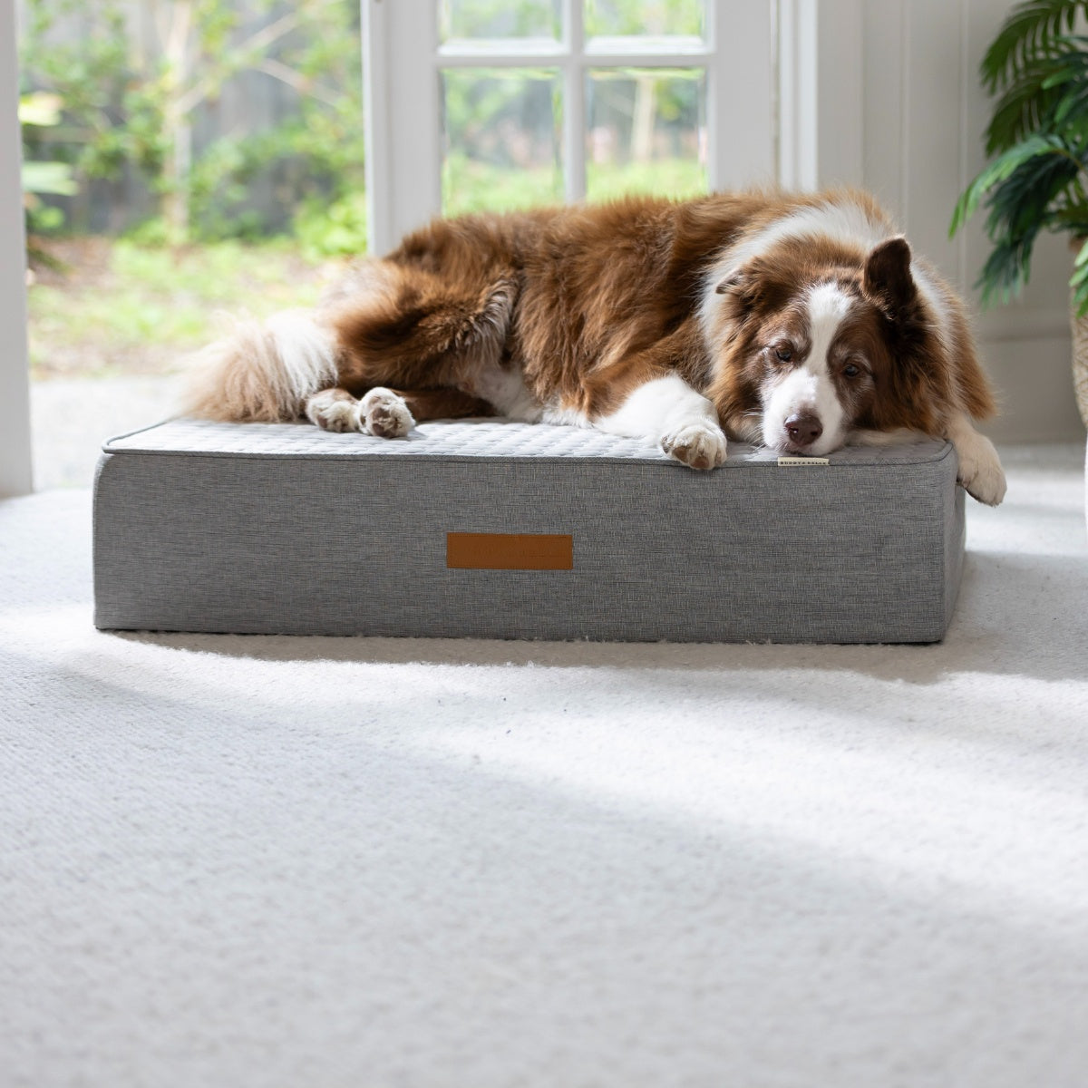 Buddy & Belle Orthopaedic Outdoor Cooling Dog Bed