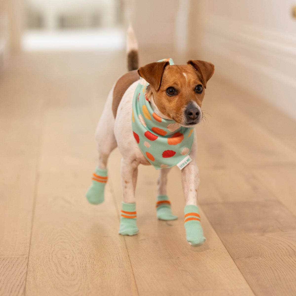 Lexi & Me Dog Grippy Socks Orange Mint