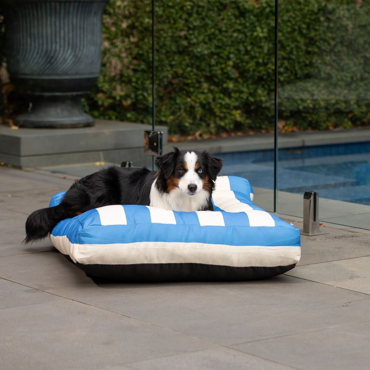 Lexi & Me Outdoor Lounger Dog Bed Blue Stripe