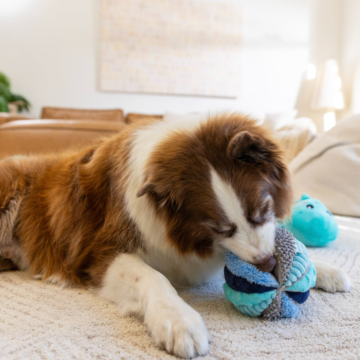 Lexi & Me Sea Urchin Snuffle Ball Dog Toy