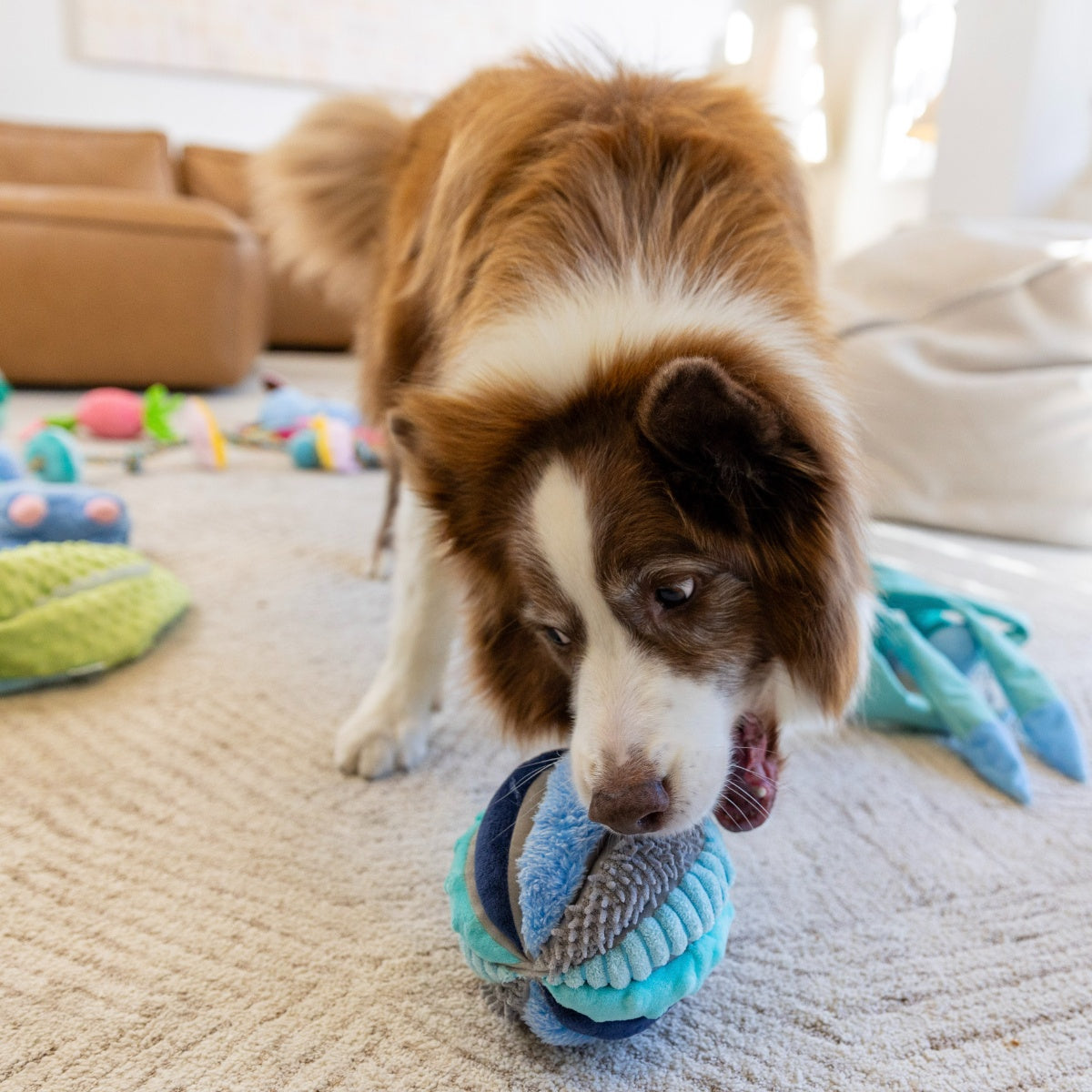 Lexi & Me Sea Urchin Snuffle Ball Dog Toy